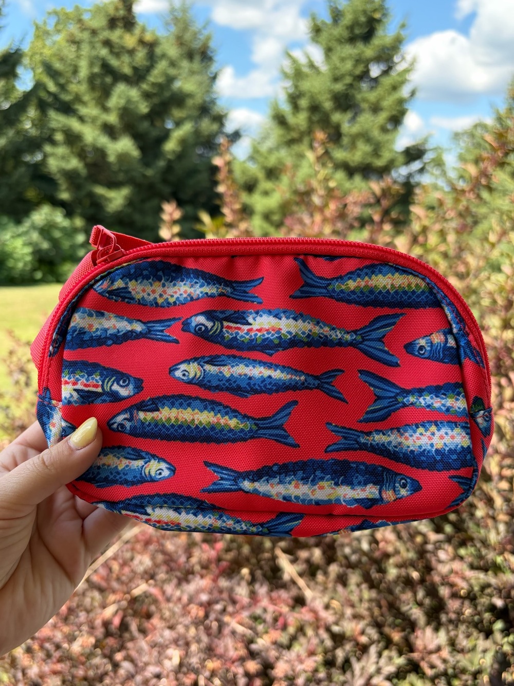 Vera Bradley sardine fish crossbody bag fanny pack mini purse belt bag NWOT